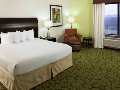 Hilton Garden Dallas