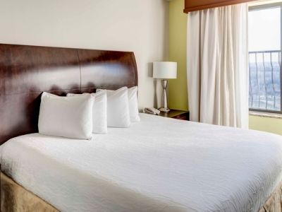 Hilton Garden Dallas