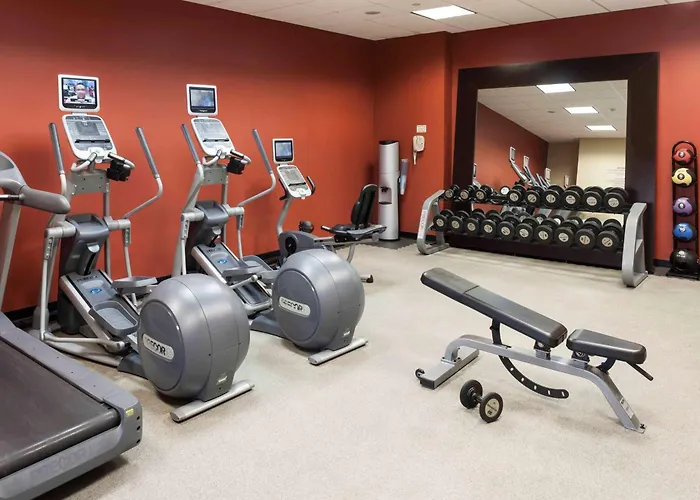 Hilton Garden Inn Dallas Lewisville